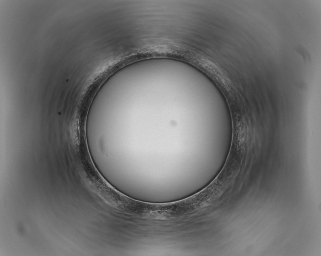 X0000111470680200907271312