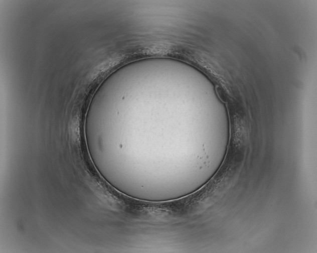 X0000111470681200907271312