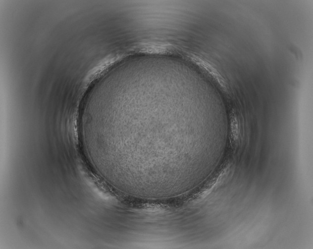 X0000111470682200907271312