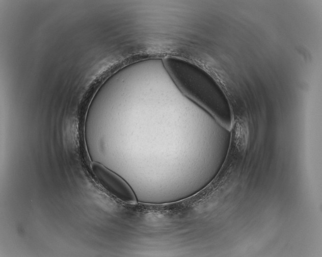 X0000111470684200907271312