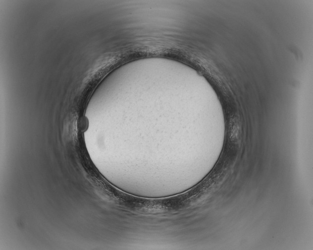 X0000111470685200907271312