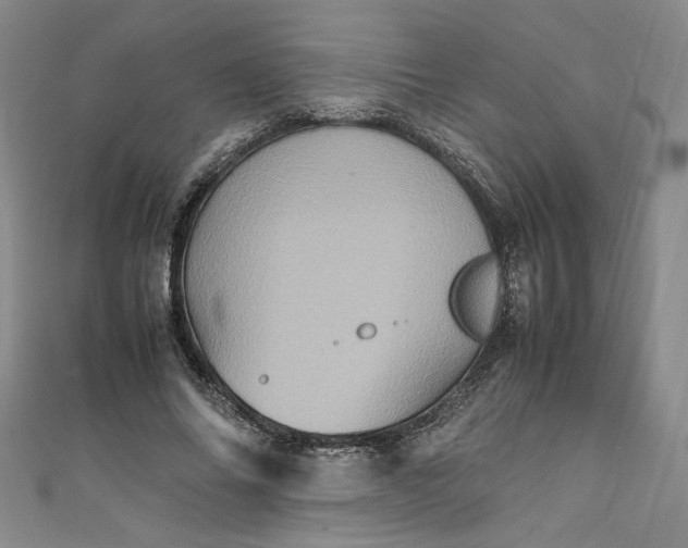 X0000111470686200907271312