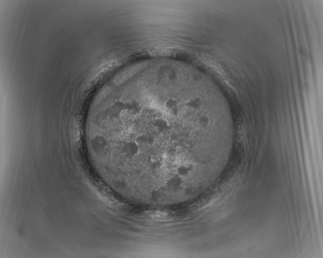 X0000111470687200907271312