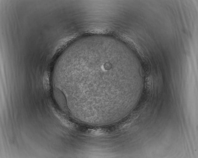 X0000111470688200907271312