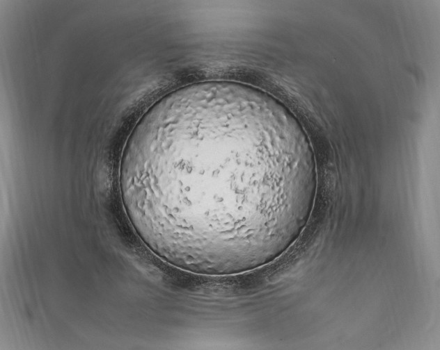 X0000111470691200907271312