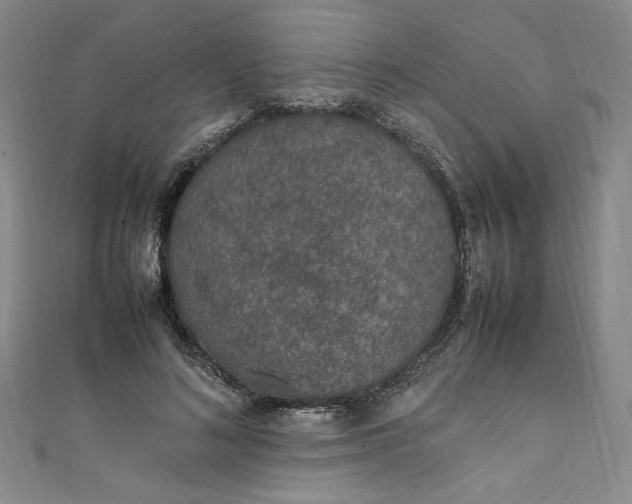 X0000111470692200907271312