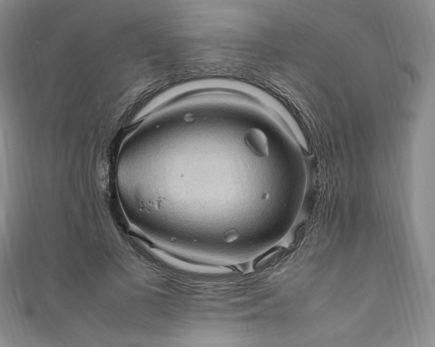 X0000111470693200907271312