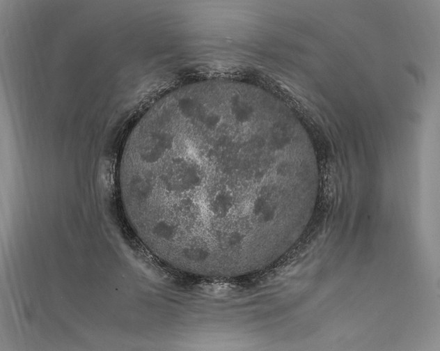 X0000111470695200907271312