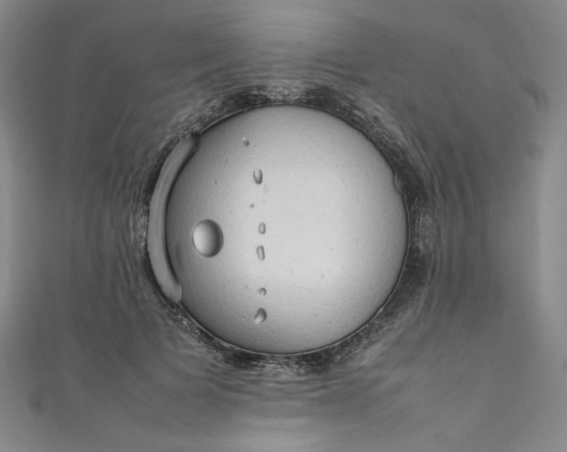 X0000111470697200907271312