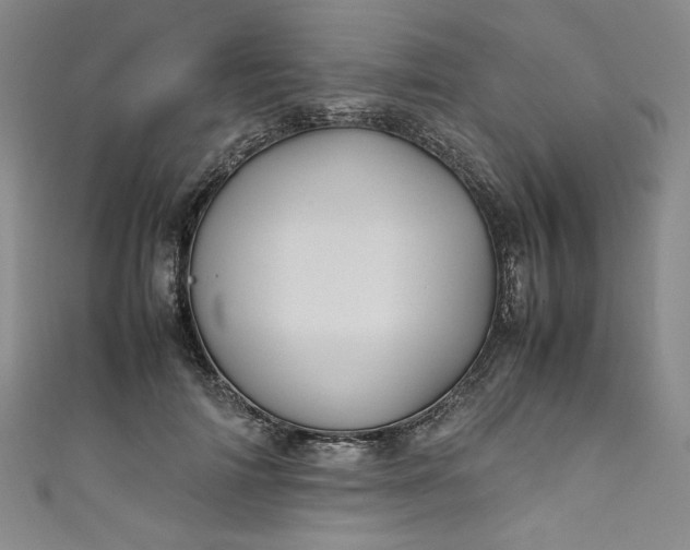 X0000111470698200907271312