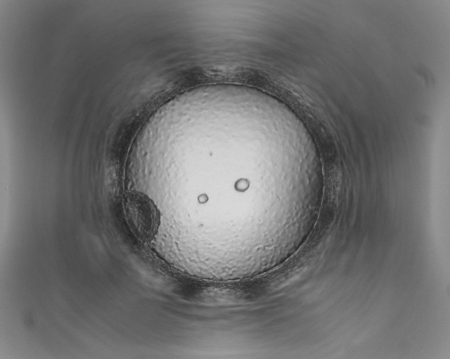 X0000111470699200907271312