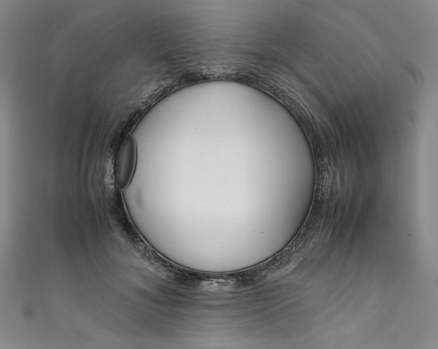 X0000111470700200907271312