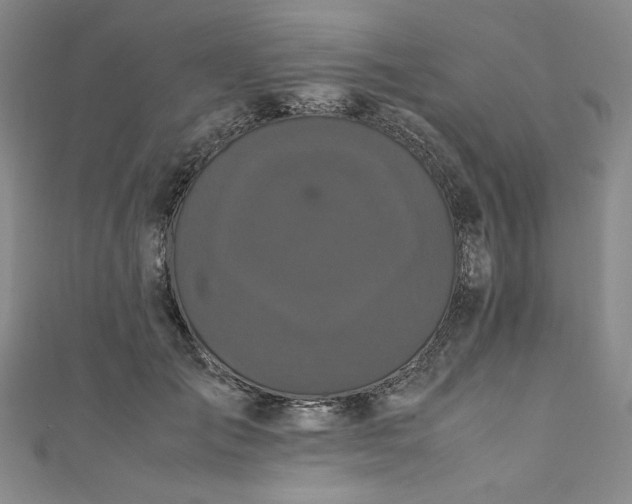 X0000111470701200907271312