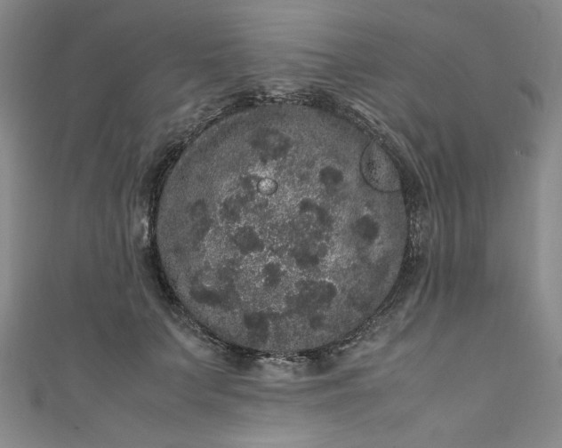 X0000111470703200907271312