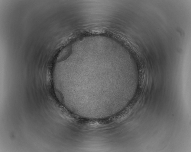 X0000111470704200907271312