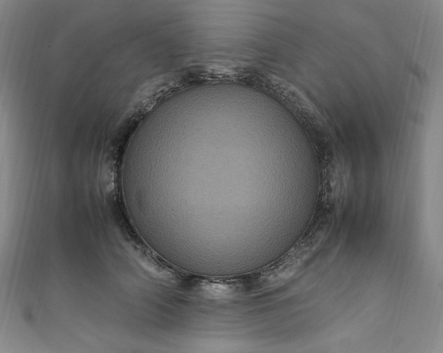 X0000111470706200907271312