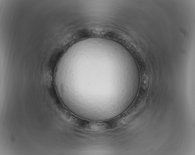 X0000111470707200907271312