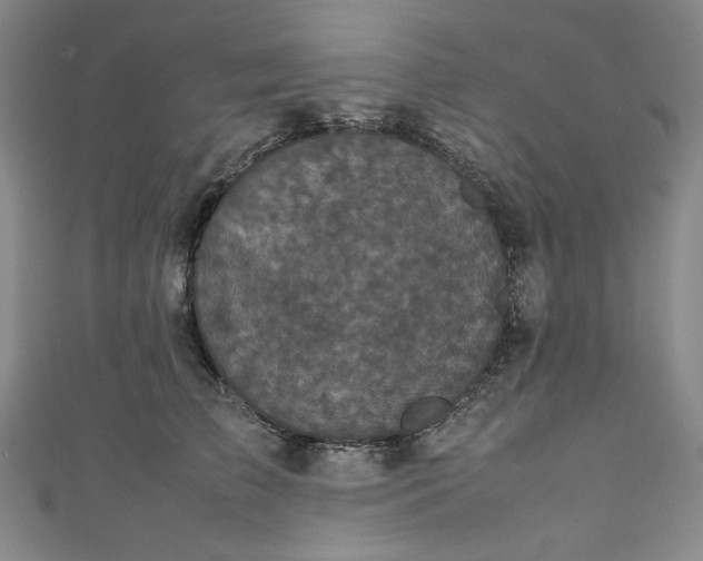 X0000111470709200907271312