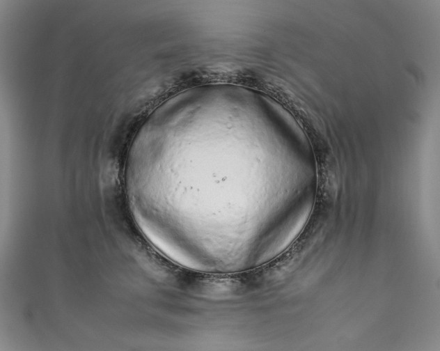 X0000111470711200907271312