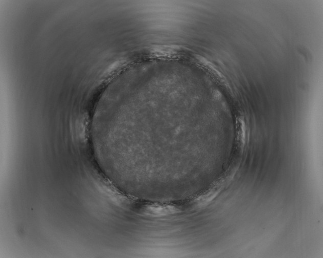 X0000111470712200907271312