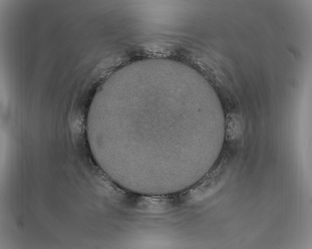 X0000111470713200907271312