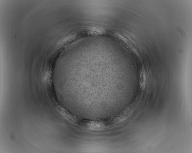 X0000111470714200907271312