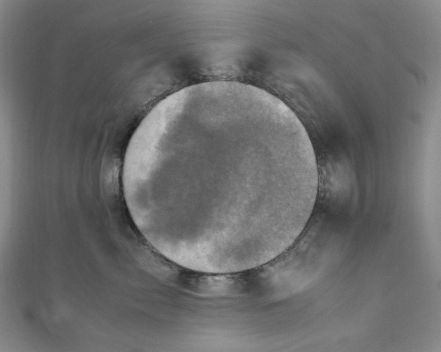 X0000111470717200907271311