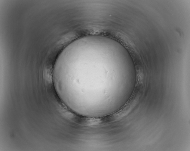 X0000111470719200907271311