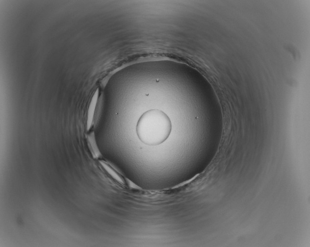 X0000111470720200907271311