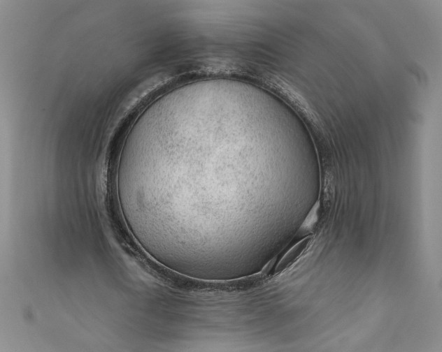 X0000111470722200907271311