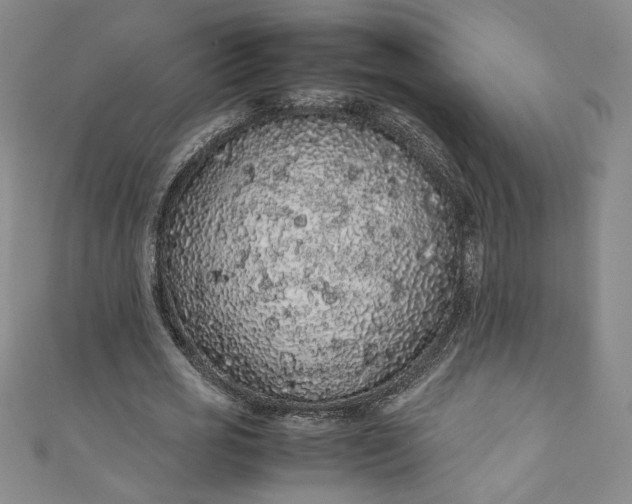 X0000111470725200907271311