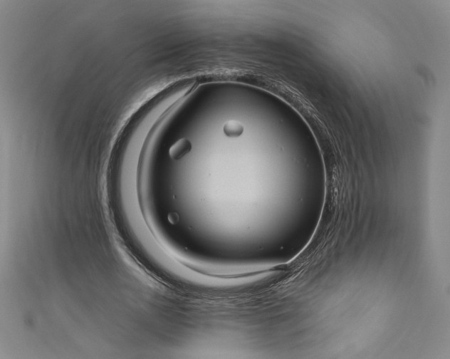 X0000111470726200907271311