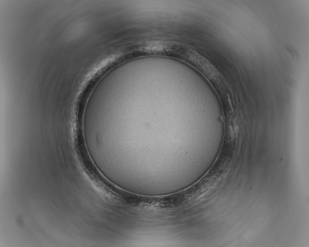 X0000111470728200907271311