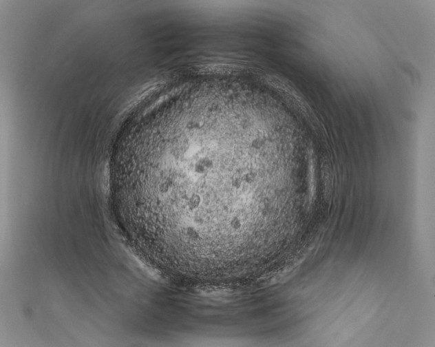 X0000111470729200907271311