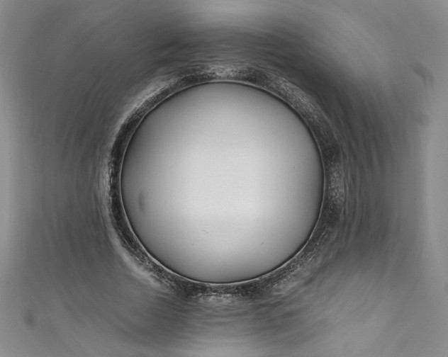 X0000111470730200907271311