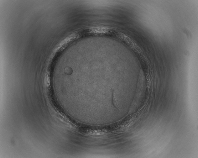 X0000111470731200907271311