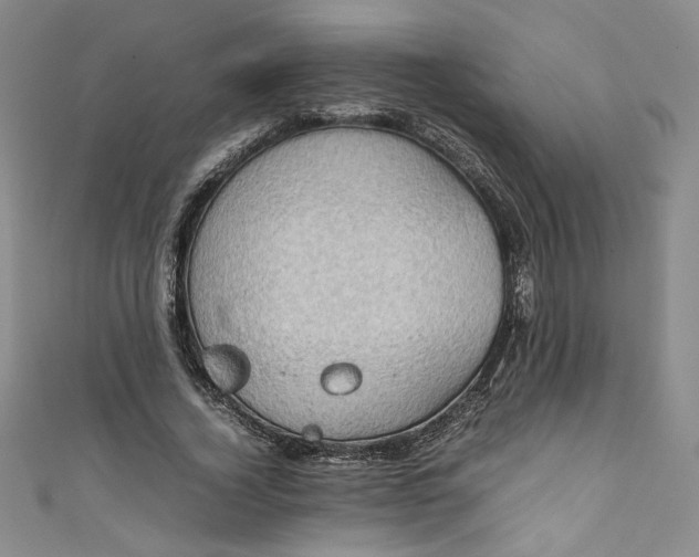 X0000111470732200907271311