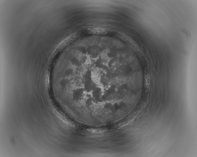 X0000111470733200907271311