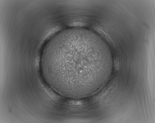 X0000111470735200907271311