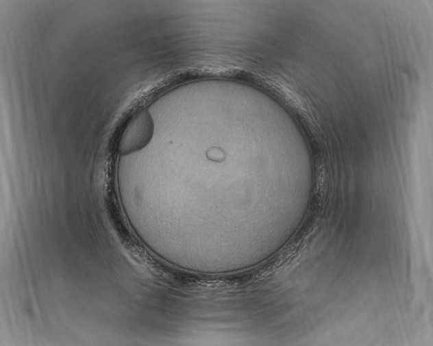 X0000111470736200907271311