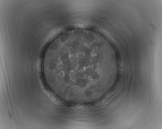 X0000111470738200907271311