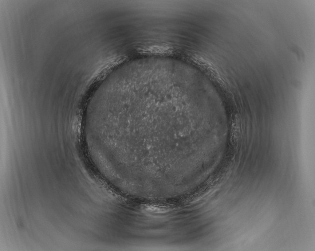 X0000111470739200907271311