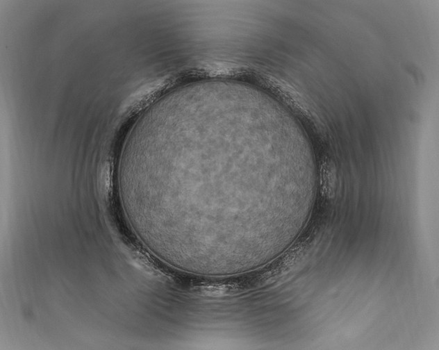 X0000111470740200907271311