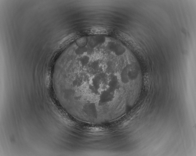 X0000111470741200907271311