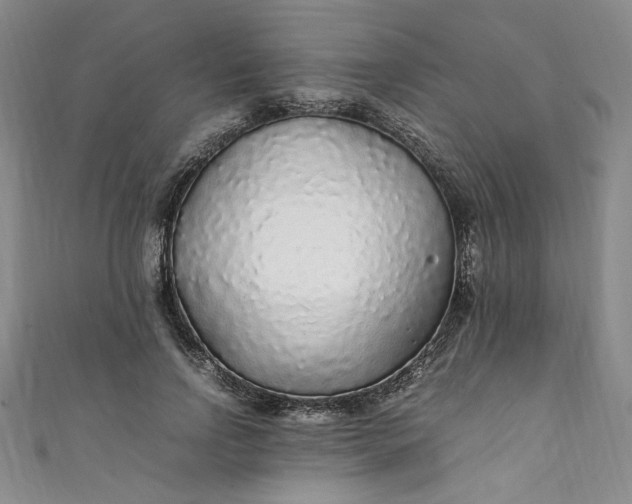 X0000111470742200907271311