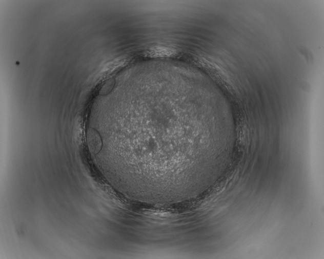 X0000111470743200907271311