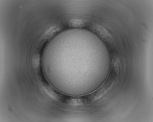 X0000111470744200907271311