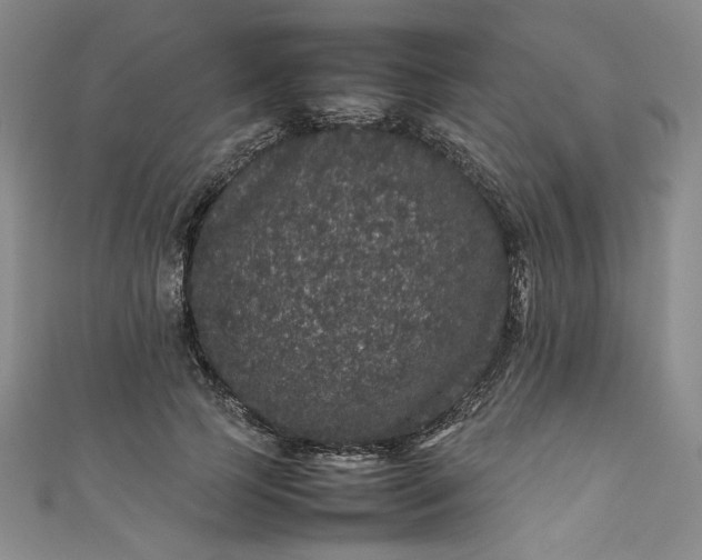 X0000111470745200907271311