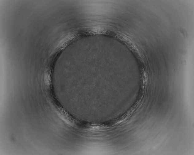 X0000111470746200907271311