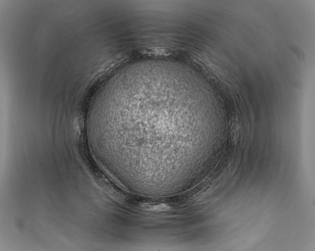 X0000111470747200907271311